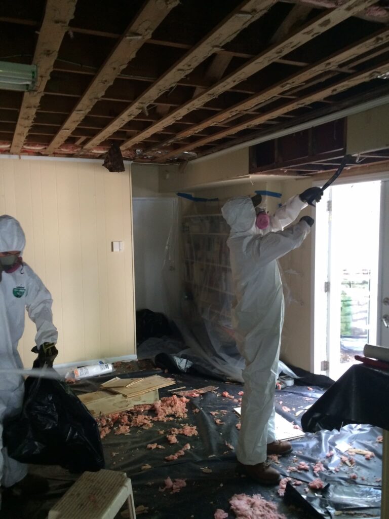 Two people in protective gear in a room with exposed ceiling beams. There's tarps on the floor and bits of insulation.